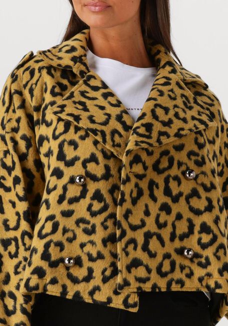 Oker AMAYA AMSTERDAM Jack LOTUS - large