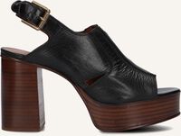 SEE BY CHLOÉ HAZEL Sandales en noir SEE BY CHLOÉ HAZEL Sandales en noir - medium