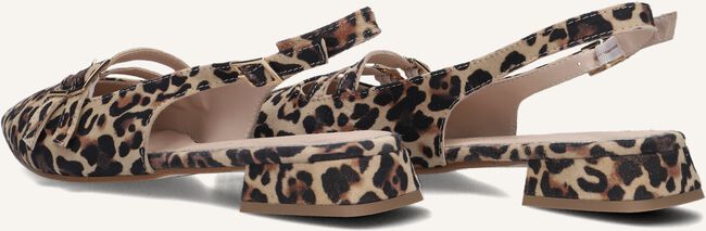 Bruine STEFANO LAURAN  MARIANNA Bruine STEFANO LAURAN  MARIANNA - large