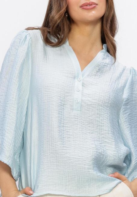 Lichtblauwe AAIKO  DAHLIA VIS 532 - large