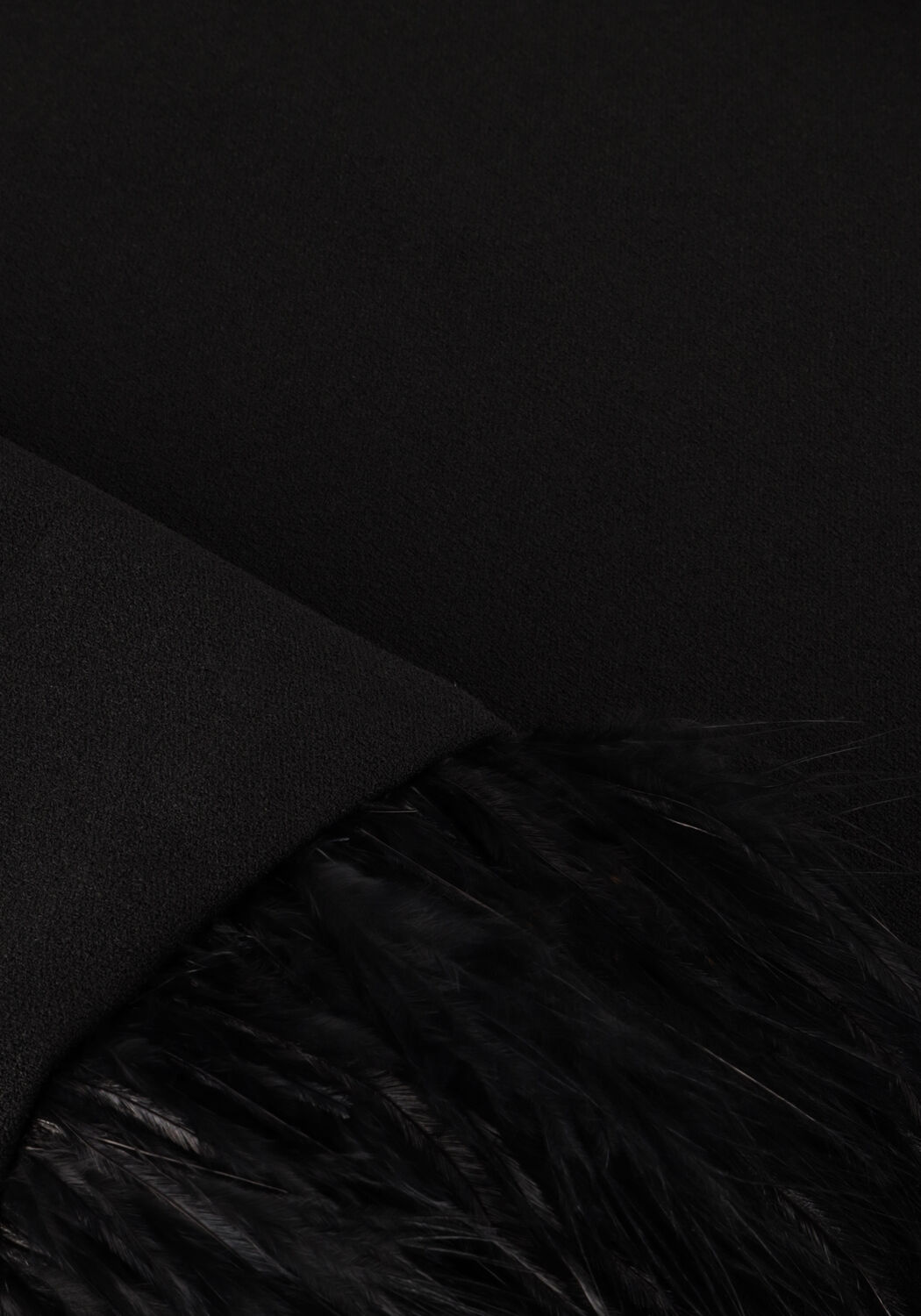 ANA ALCAZAR Haut TOP FEATHERS en noir - large