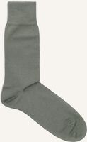 Groene CARLO LANZA Beenmode 100 CLASSICO Groene CARLO LANZA Beenmode 100 CLASSICO - medium