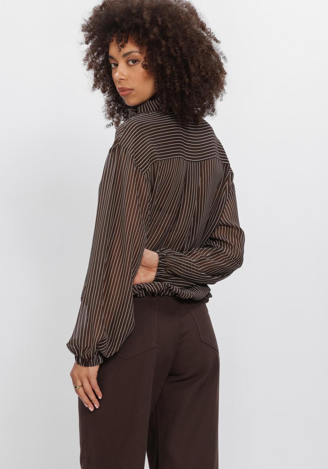 Bruine DANTE6  SHAPIRO PINSTRIPE BLOUSE - large