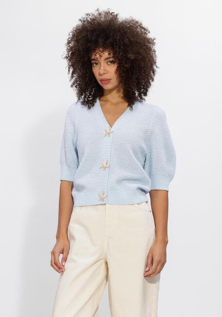 Lichtblauwe NOTRE-V Trui NV-HIDY - large