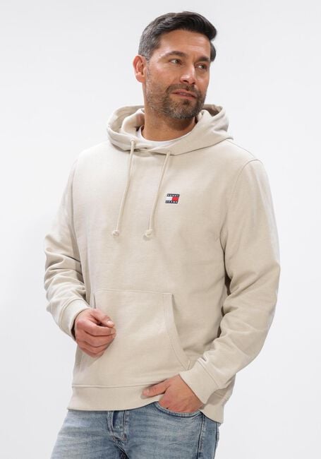 TOMMY JEANS Chandail TJM REG BADGE HOODIE EXT Bleu clair - large