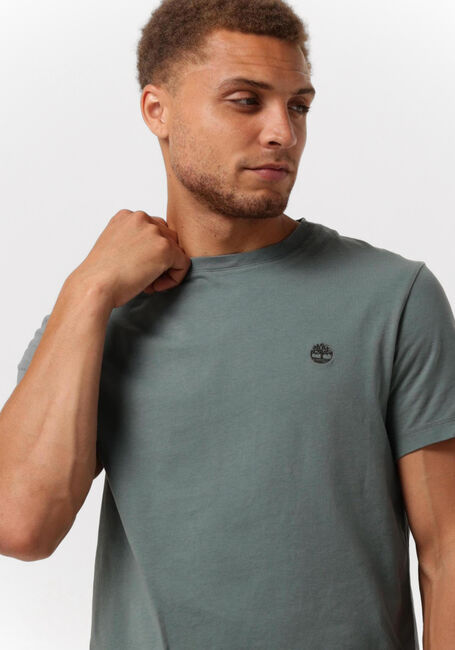 Mint TIMBERLAND T-shirt SS DUN-RIVER CREW T - large