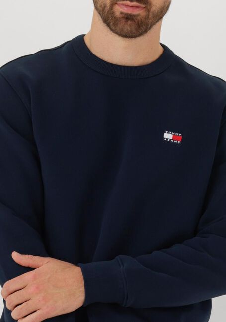 TOMMY JEANS Pull TJM REG BAGDE CREW EXT Bleu foncé - large