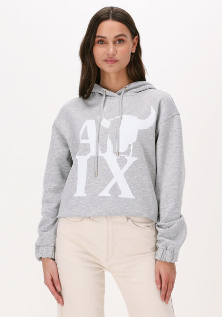 ALIX THE LABEL Pull ALIX BULL HOODIE en gris - large