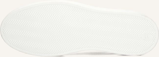 Grijze STEFANO LAURAN Sneakers LJ2502 Grijze STEFANO LAURAN Sneakers LJ2502 - large