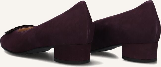 Paarse HASSIA  302627 Paarse HASSIA  302627 - large