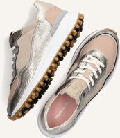 Beige FLORIS VAN BOMMEL Lage sneakers 85343 Beige FLORIS VAN BOMMEL Lage sneakers 85343 - medium