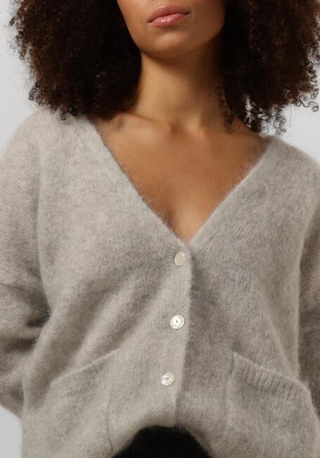 Grijze DES PETITS HAUTS Vest BETANI - large