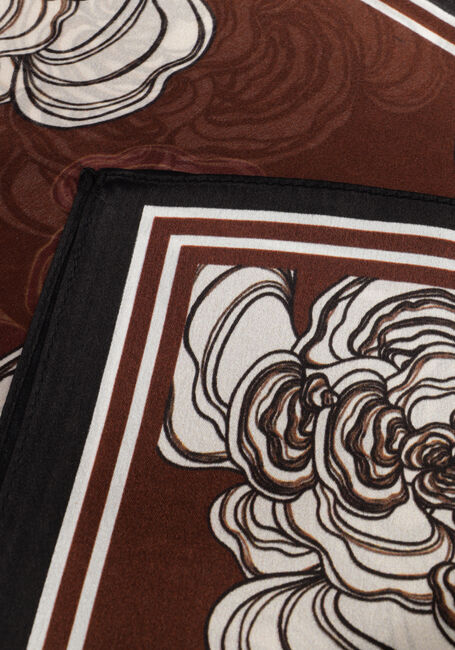 NOTRE-V ZAYA - large