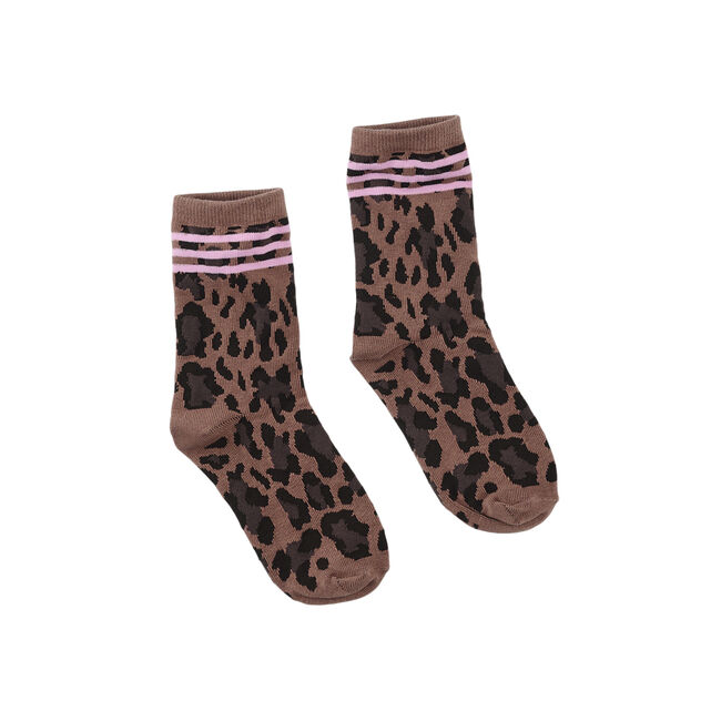 Z8 Chaussettes CATE en marron - large