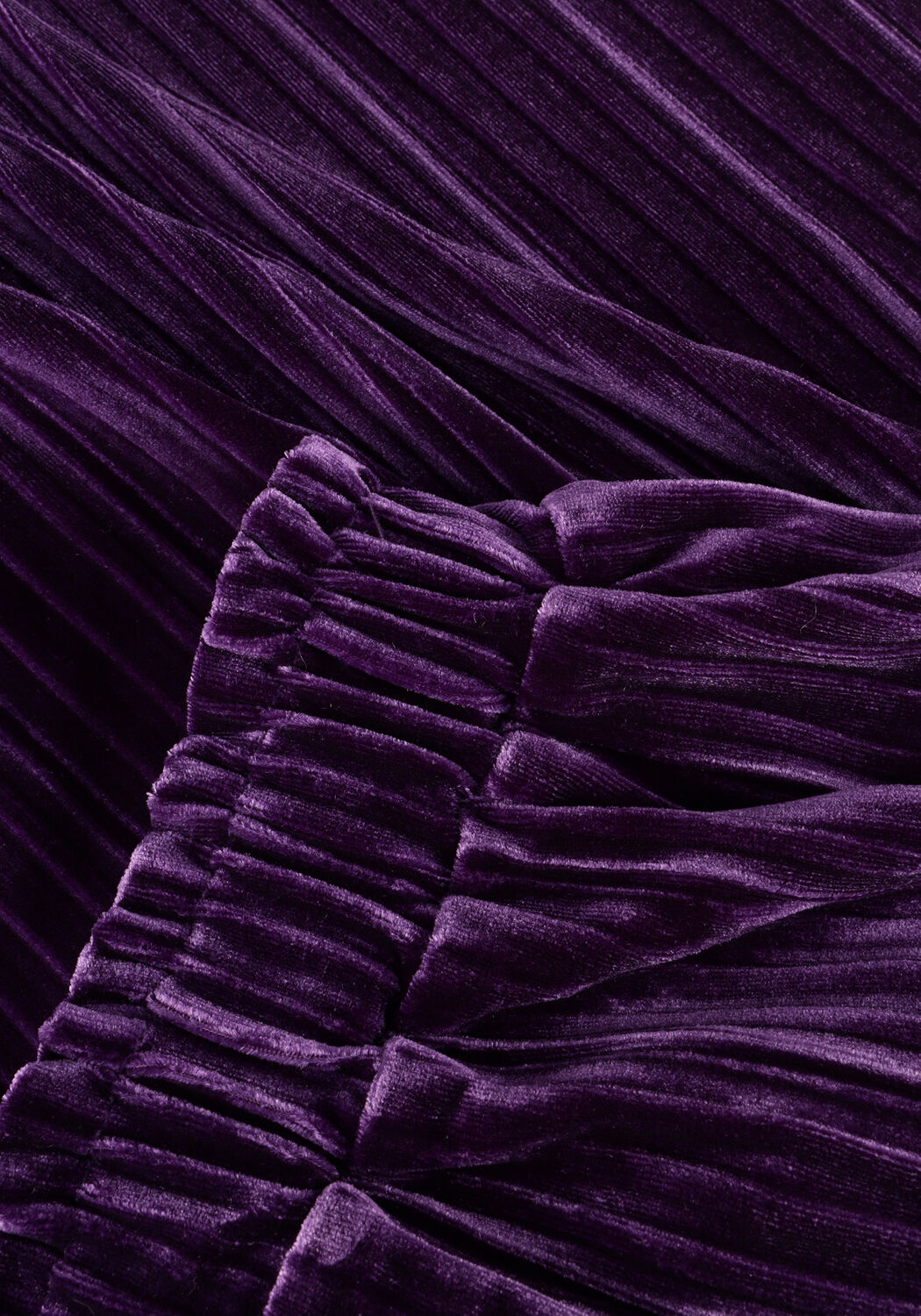 Paarse Z8 Pantalon CEYLIN - large