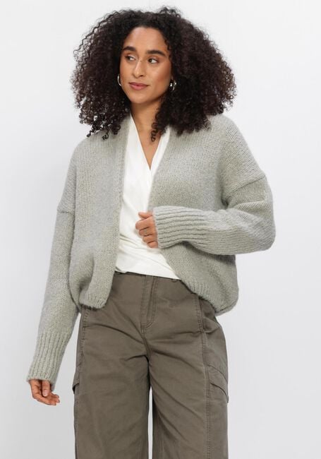 KNIT-TED Gilet BECKY en gris - large