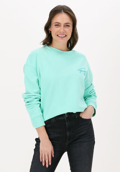 TOMMY JEANS Chandail TJW CROP TOMMY SIGNATURE CREW Menthe - large