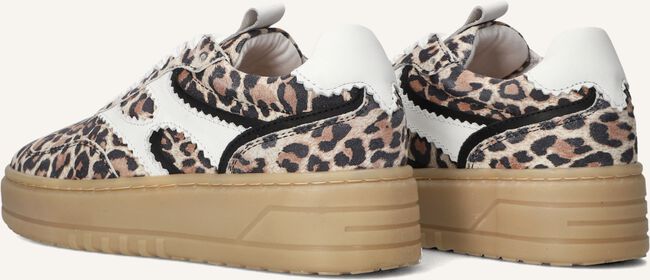 NOTRE-V ANEMONE-63 NOTRE-V ANEMONE-63 - large