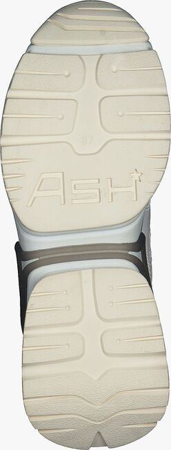 ASH Baskets basses BANG en blanc  - large