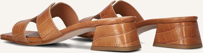 Bruine NOTRE-V  AS-16621 Bruine NOTRE-V  AS-16621 - large