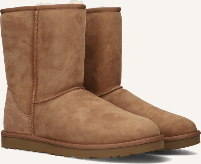 Camel UGG  M CLASSIC SHORT Camel UGG  M CLASSIC SHORT - large