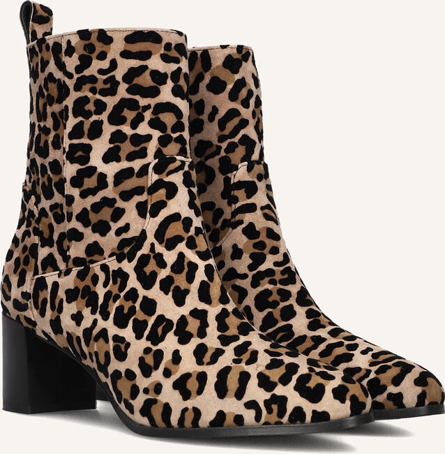 NOTRE-V 8543 NOTRE-V 8543 - large