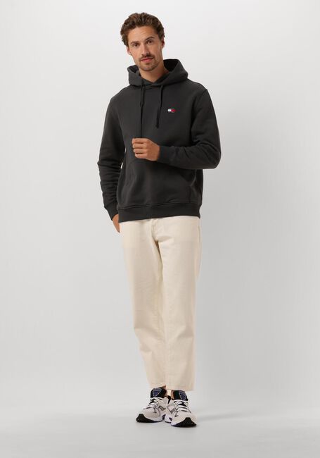 Donkergrijze TOMMY JEANS Sweater TJM REG BADGE HOODIE EXT - large