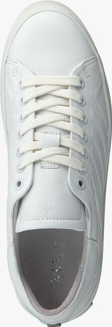 Witte VIA VAI Sneakers 5017044 - large