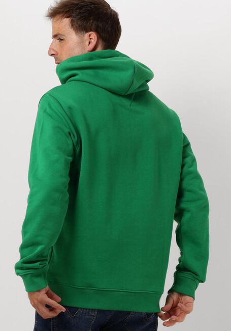 TOMMY JEANS Chandail TJM REG BADGE HOODIE en vert - large