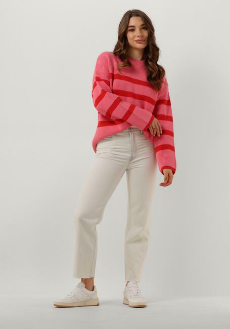 Roze NOTRE-V Trui NV-DUNE - large