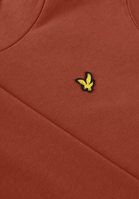 Bruine LYLE & SCOTT Truien/vesten PULLOVER HOODIE BOYS - large