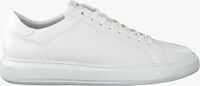Witte BLACKSTONE TG40 Lage sneakers - medium