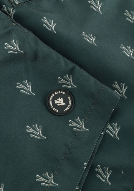 Donkergroene SHIWI Zwemkleding MILO SWIMSHORT - large