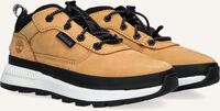 Camel TIMBERLAND Sneakers FIELD TREKKER LOW K Camel TIMBERLAND Sneakers FIELD TREKKER LOW K - medium