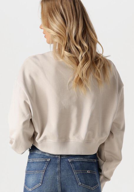 Beige CALVIN KLEIN Sweater SCRIPT INSTITUTIONAL CREWNECK - large