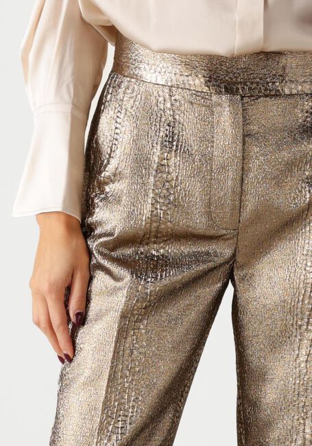 DEA KUDIBAL Pantalon CAMETTI en or - large