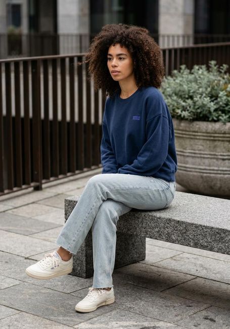 Blauwe AMERICAN VINTAGE Sweater IZUBIRD D - large
