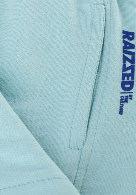 RAIZZED Pantalon courte BALDWIN en bleu - large