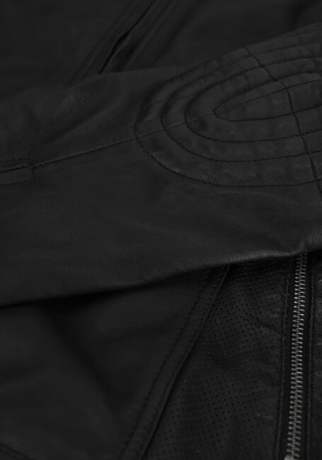 GOOSECRAFT Veste en cuir BIKER919 en noir - large