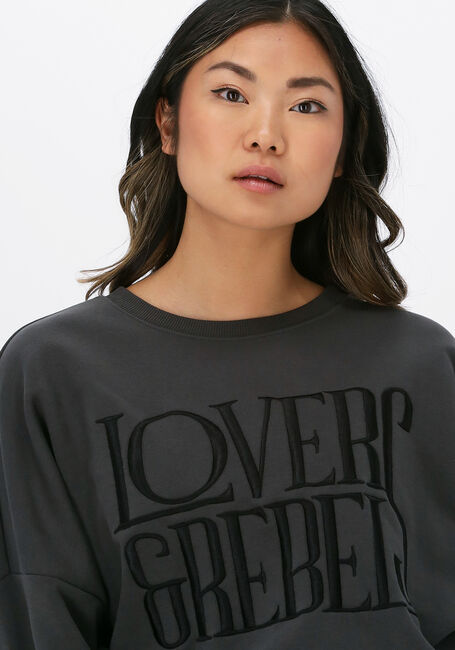 COLOURFUL REBEL Chandail LOVERS EMBRO DROPPED SHOULDER en gris - large