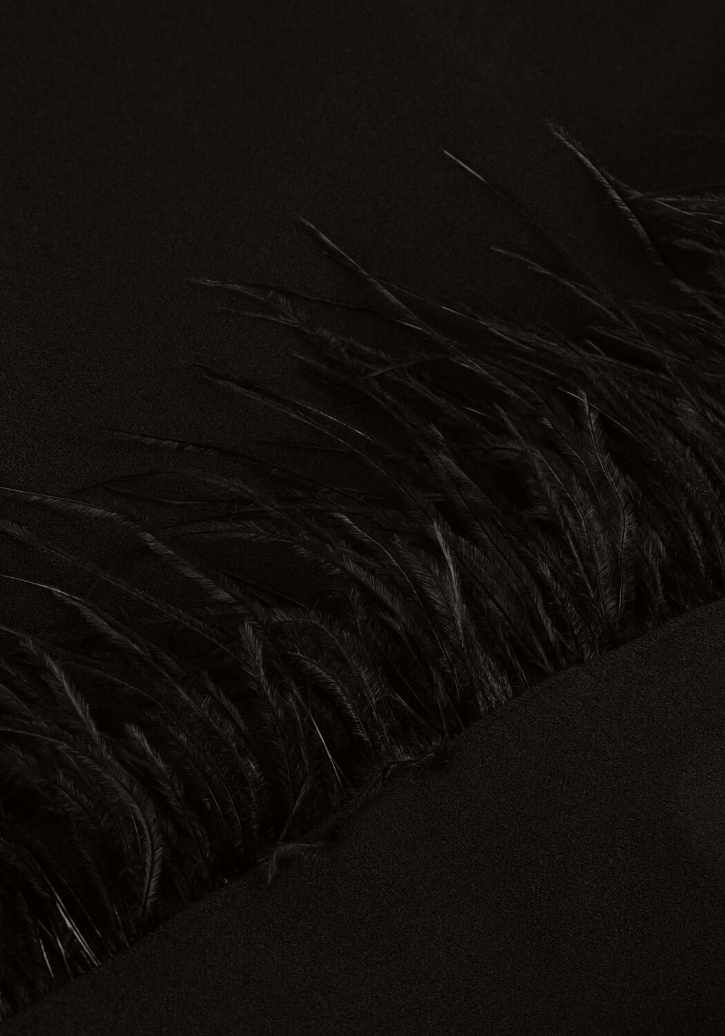 Zwarte ACCESS Mini jurk LONG SLEEVE MINI DRESS WITH FEAT - large