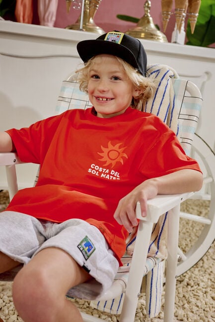 Grijze Z8 Korte broek IBRA - large