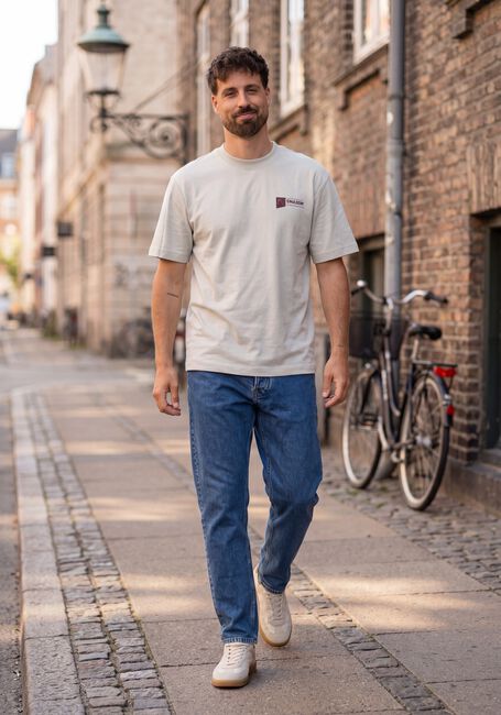 Lichtgrijze CHASIN T-shirt 52110080_IDO TEE - large