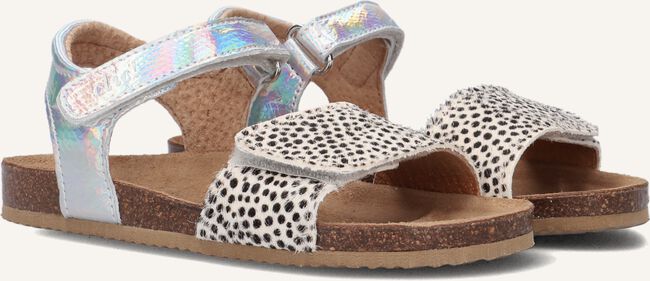 CLIC! CL-GRASS CLIC! CL-GRASS - large