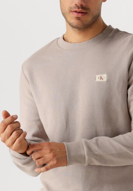 Zand CALVIN KLEIN Trui WOVEN LABEL WAFFLE LS TEE - large