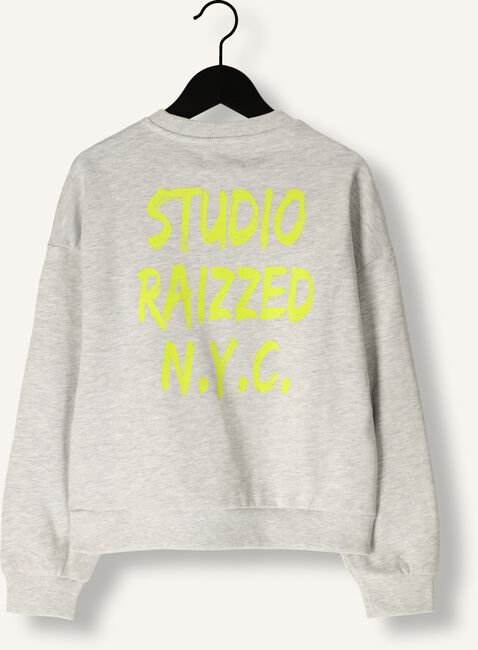 Lichtgrijze RAIZZED Sweater CELA Lichtgrijze RAIZZED Sweater CELA - large