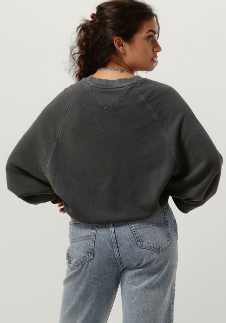 TOMMY JEANS Pull TJW RLX LEO CREW Gris foncé - large