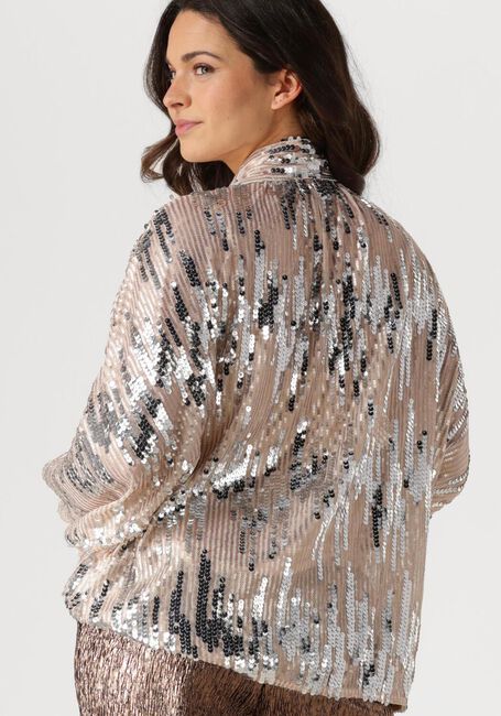 AMAYA AMSTERDAM GLITTER BLOUSE Blouses en argent - large