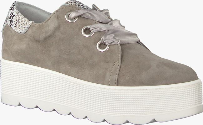 ROBERTO D'ANGELO Chaussures à lacets 605 en taupe  - large