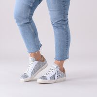 ARCHIVIO,22 Baskets basses NEW RIVOLI en argent ARCHIVIO,22 Baskets basses NEW RIVOLI en argent - medium